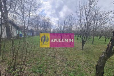 Teren de vanzare in Brebu - Zona Brebu Megiesesc - 9