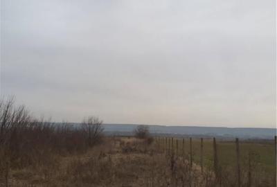 Teren de 2986 mp, în Micești - 9