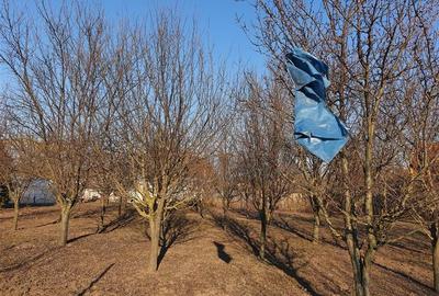 RECO Teren Santandrei 2000mp RECO Teren Santandrei 2000mp - 2