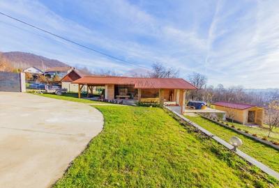 VILA DE VIS CU TEREN GENEROS, DE VANZARE - 35