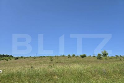 Teren de 1100 mp, în Sălicea - 4