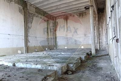 Spațiu industrial, de 5,000 mp, în Niculițel - 14