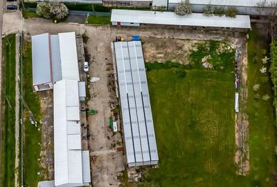 Hale depozitare/producție 2.000 mp si 10.000 mp teren în Pecica - 4