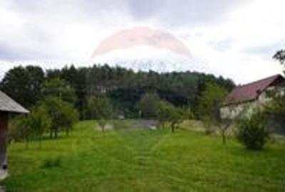 Teren 5,037mp Sighetu Marmatiei / Strada Lazu Baciului - 3