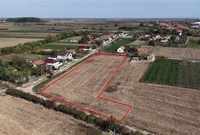 RECO Teren Cheresig 20 km de Oradea RECO Teren Cheresig 20 km de Oradea - 1