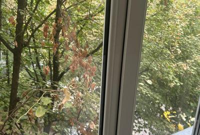 Brâncoveanu Brâncoveanu - 2