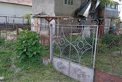 Casă cu Teren 5741 Mp în Lunca Mureșului - 5