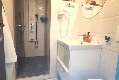 Apartament cu 3 camere decomandat în Craiovei - 11