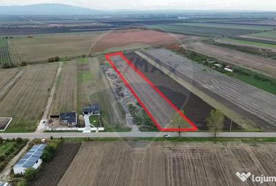Teren de 10869 mp, în Mirceștii Vechi - 3