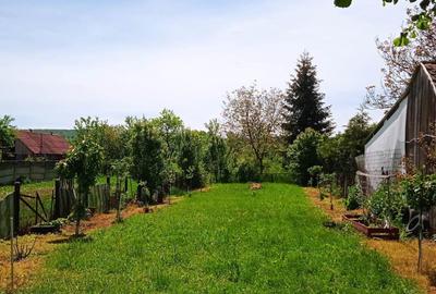 Casă cu 3 camere cu Teren 6 Mp în Miercurea Nirajului - 2