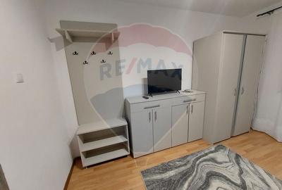 Apartament cu 1 camere în Noua - 2
