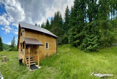 Cabana la munte in comuna Belis, judetul Cluj - 3