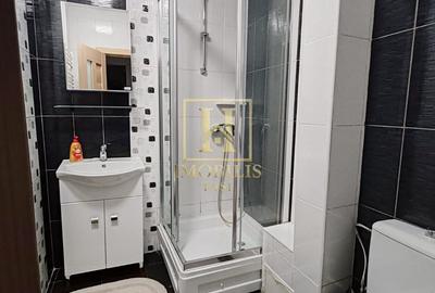 Apartament cu 2 camere decomandat, mobilat în Podu Roș - 7