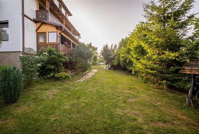 FILM! Investitie 2 in 1:Unitati independente +domeniu 1.742mp,aria Bran,Tohanita - 29