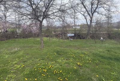 Spațiu comercial, în Vlădești - 6