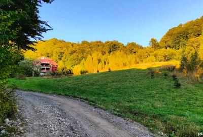 Casă cu 6 camere în Lepșa - 7