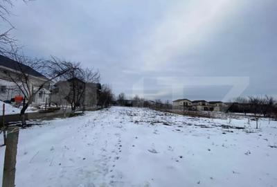 Casă cu 3 camere cu Teren 1880 Mp în Moșnița Nouă - 2