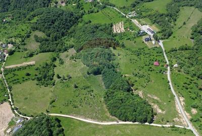 Teren agricol intravilan de 55600 mp, în Codru Butesii - 3