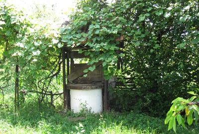 (101) Teren cu casa, pentru afaceri / Direct proprietar - 5
