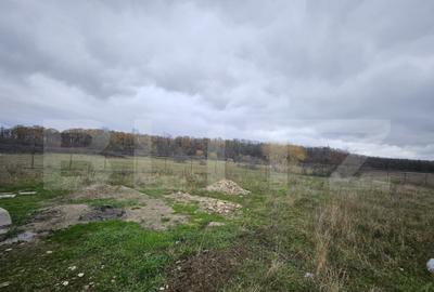 Teren intravilan, Dragutesti, 1184 mp - 3