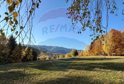 Oportunitate de investiție ! Teren de vis în Pestera - 125.370 mp - 6