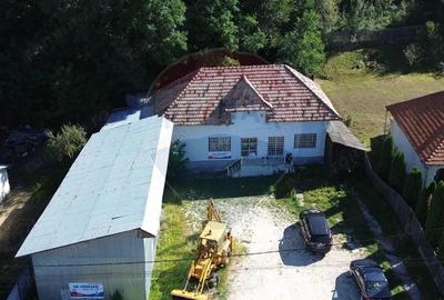 Spatiu comercial si casa de vanzare in Furnicosi. - 1