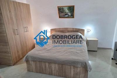 PACII - GARSONIERA CONFORT 1 ,PARTER, MOBILATA SI UTILATA - 1