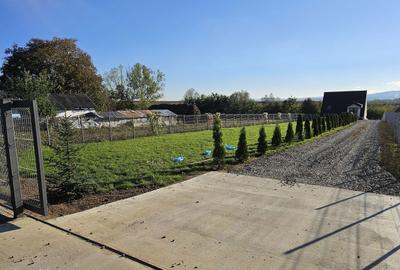 Casă cu 3 camere cu Teren 1900 Mp în Vârfu Câmpului - 6