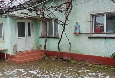 Casă cu 4 camere cu Teren 1500 Mp în Bârsa - 8