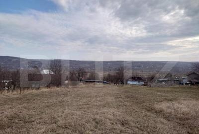 Teren intravilan 3712 mp + 2600 mp extravilan in Dobrovat - 4