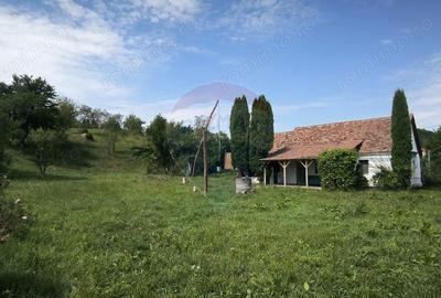Casă cu Teren 1138 Mp în Moardăș - 2