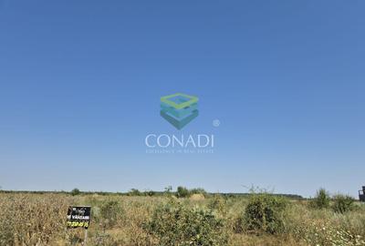 Teren de vanzare cu autorizatie pentru 2 hale - Otopeni - 10.000 mp - 16