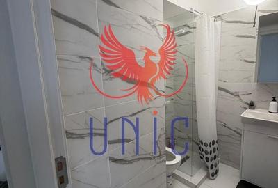 Garsonieră nedecomandată în Cornitoiu - 13