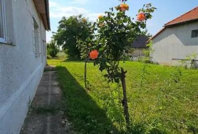 Casă cu 3 camere cu Teren 1400 Mp în Apa - 6