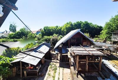 Casa Borlesti Merisani Arges - 10