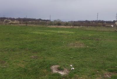 Teren pretabil hala industriala/rezidential Catelu - 1