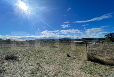 Teren Intravilan de vanzare, 900mp, Turcinesti - 1