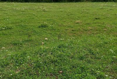 Spațiu comercial, în Central - 2