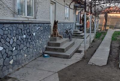 Vand casa cocheta ?i padure - 3