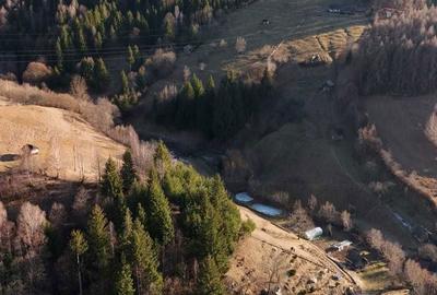 Teren de 2500 mp, în Dâmbovicioara - 2