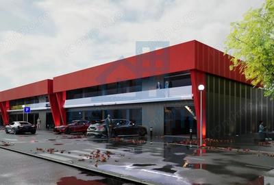 Hale industriale-Spatii depozitare-Suprafete 12mp-590mp-Aeroport - 3