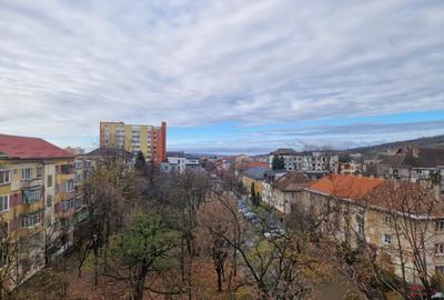 Garsoniera recent renovata, 30 mp, zona RFN - 4