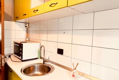 Apartament cu 3 camere semidecomandat, mobilat în Brâncoveanu - 42
