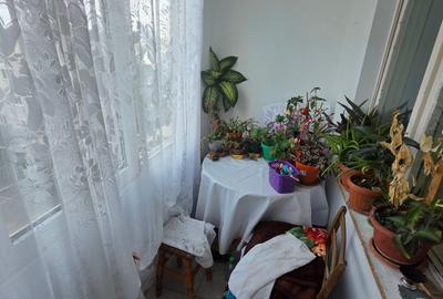Apartament cu 3 camere decomandat în Calarași 4 - 5