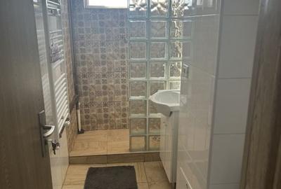 Apartament 2 camere decomandat - Tineretului Pet friendly - 4
