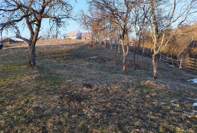 Spațiu comercial, în Cioclovina - 1