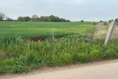 Teren intravilan de 4500 mp, în Dascălu - 5