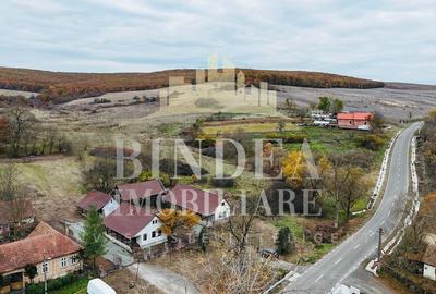 Oportunitate investitie: două reședințe de vacanță/ cabane 3940mp teren - 14