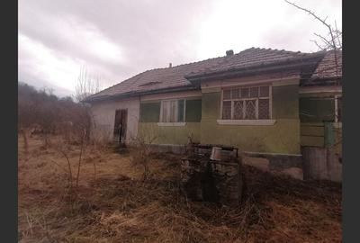 Casă cu 3 camere cu Teren 3040 Mp în Ceanu Mic - 2