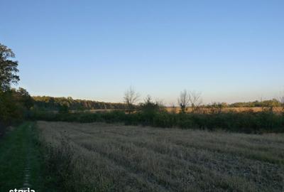 Spațiu comercial, în Răcari - 3